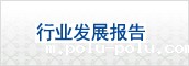 行业发展报告（虚拟链接）